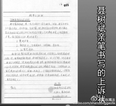 聶樹斌手寫的申訴狀，標注日期為1995年5月13日。