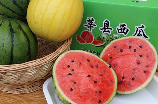 山东莘县:冀鲁豫第四届西瓜节
