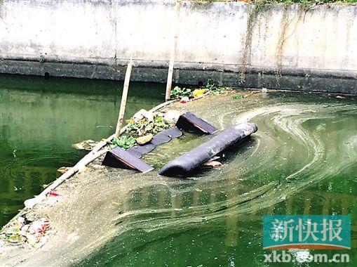 ▲牛肚湾涌上的废弃沙发。