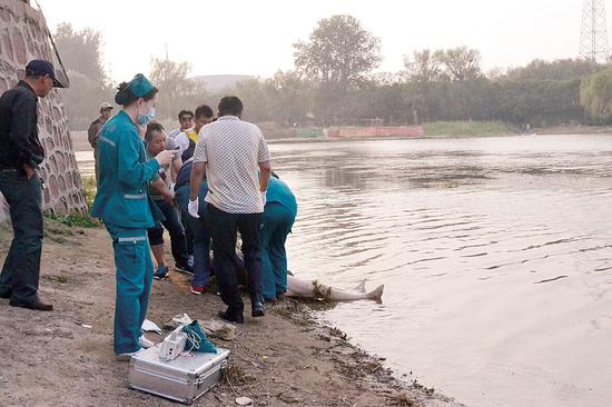 男子郑州西流湖溺亡