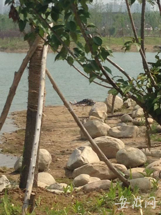 蚌埠龙湖惊现男性浮尸