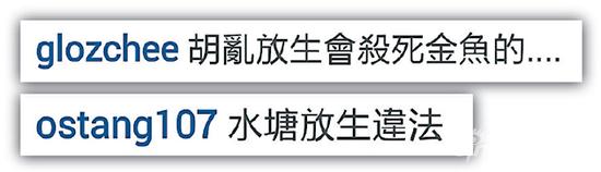 网民表达意见，骂谢氏兄妹欠常识。