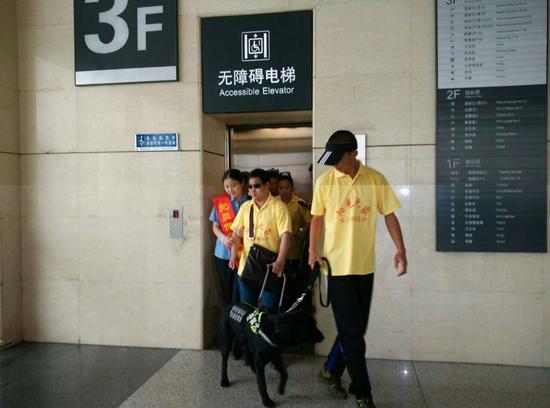 5月1日起視障旅客可攜帶導盲犬進站乘車