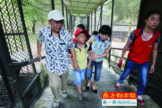 昨日,吴树梁带着妻子、儿子在几名义工的陪同下到深圳野生动物园免费游玩,这是他们一家第一次走进动物园。南都记者 徐文阁 摄