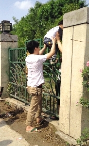 游客正托著孩子翻越圍欄