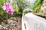 最拉风山路遭乱倒渣土追踪：福州市长杨益民批示