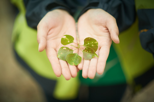 2015 innisfree百万植树计划内蒙古种树之行公