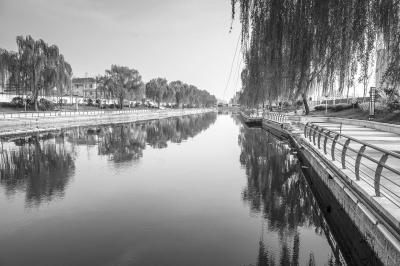 河流清澈、樹木繁茂，濮陽市清潔的城市河流提升了城市的品位。王冰攝