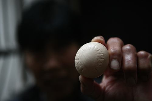 蛋壳上有椭圆形图案
