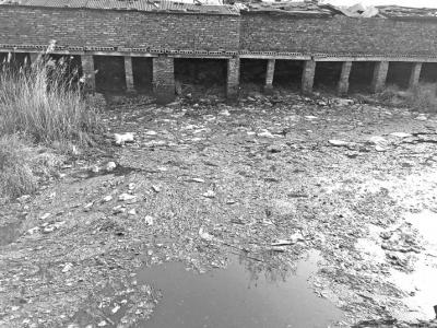 新乡市民主河内垃圾遍地，污水横流，已基本丧失生态功能。 本报记者王志昭摄