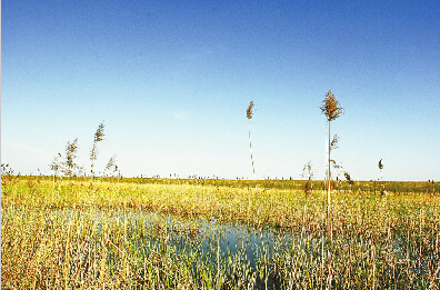 小清河国家湿地公园