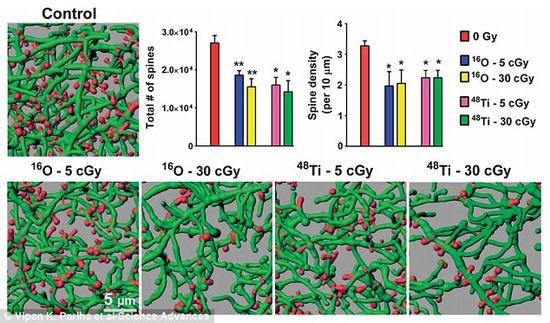 研究过程中，科学家让老鼠暴露在低剂量高能带电粒子环境下。6周之后，老鼠接受一系列记忆测试和有关学习能力的实验。研究结果表明接触带电粒子的老鼠更容易出现精神错乱。此外，这些老鼠大脑内的树突细胞数量大幅减少