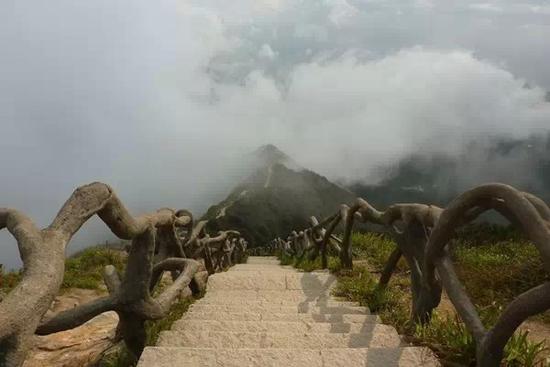 深圳梧桐山登山路线 如何最快到达山顶