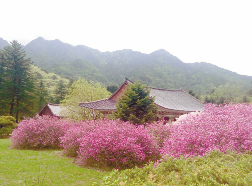 朝鲜,资料图。
