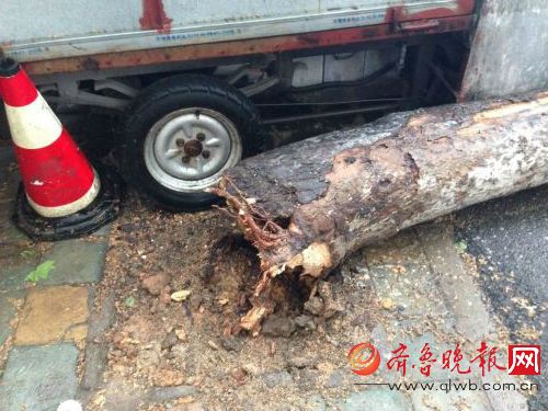 现场照片。齐鲁晚报见习记者王晓莹摄