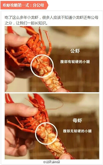网传最正确吃虾攻略爆红 网友称吃货必备(图)
