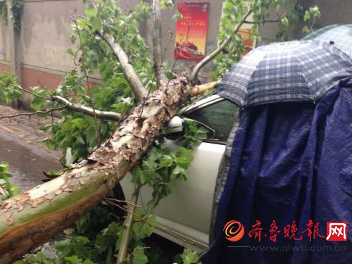 现场照片。齐鲁晚报见习记者王晓莹摄