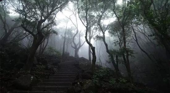 深圳梧桐山登山路线 如何最快到达山顶