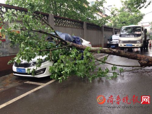 现场照片。齐鲁晚报见习记者王晓莹摄