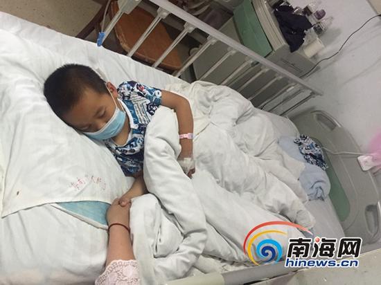 小云在病床上睡着了,紧握着姑姑的手。(南海网记者 刘麦 摄)
