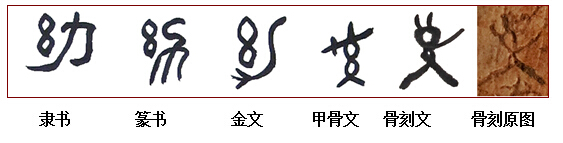 骨刻文"幼yòu"字演变五体