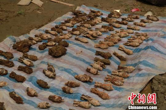 宅基地里挖出来的手雷和有迫击炮弹。胡荣华 摄