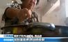 南昌“雷胖子狗肉店”火锅添罂粟壳