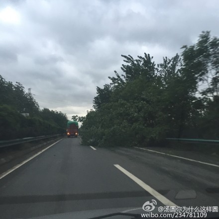大风导致树木倒塌，占据了右侧车道