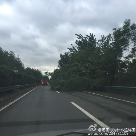 大風(fēng)導(dǎo)致樹木倒塌，占據(jù)了右側(cè)車道