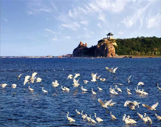 北戴河