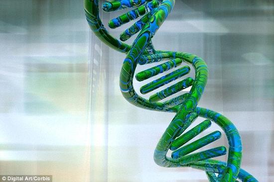 DNA，也叫脱氧核糖核酸，是人类和几乎其他所有生物体的遗传物质。