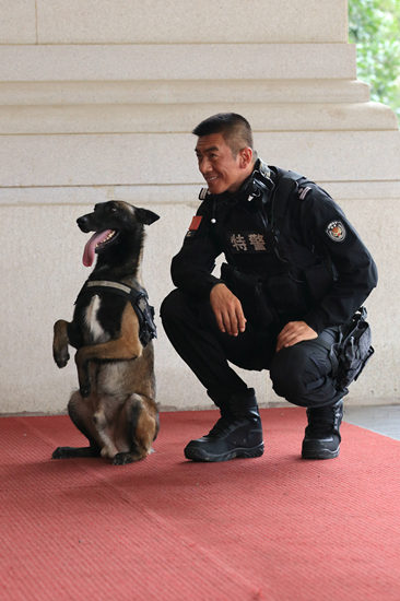 任天野与警犬