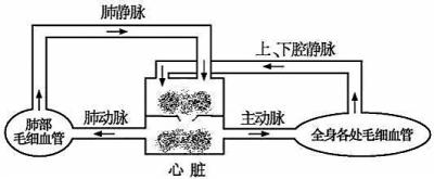 19岁小伙长青蛙心 天气一变冷皮肤就变黑色