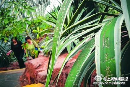 如何有效制止参观不文明行为 网友建言献策