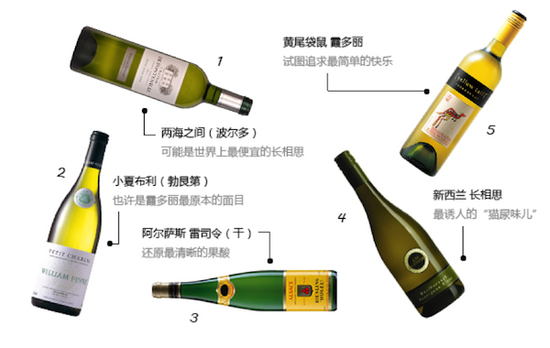 超实用家中常备“基本款”葡萄酒推荐|葡萄酒|基本款葡萄酒|香槟_新浪时尚_新浪网