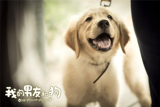 《我的男友和狗》中萌犬里拉