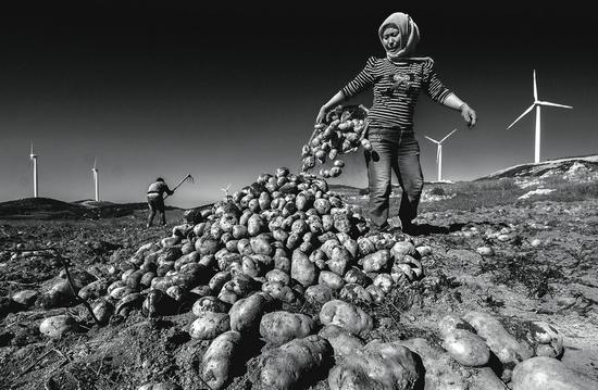 二等奖 《丰收时节》 李林 贵州