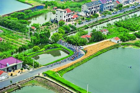 崇明岛gdp_2013游玩上海之27 崇明瑞华果园
