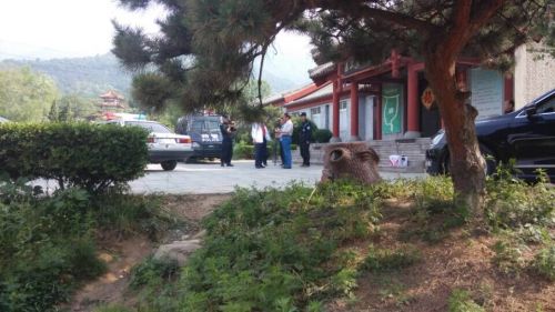 泰安虎山生態園獅子咬死一名工作人員(圖)