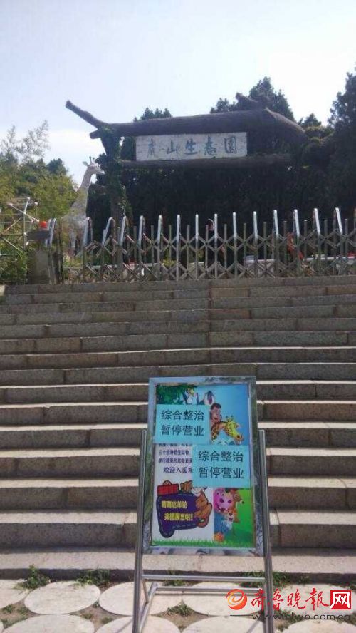 泰安虎山生態園獅子咬死一名工作人員(圖)