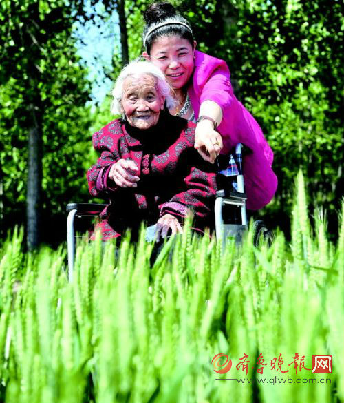 出來遛彎，看著自家小麥長得好，老太太比啥都高興。 