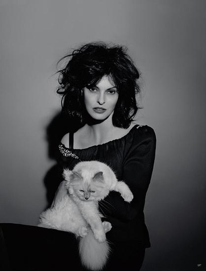 Choupette和加拿大超模Linda Evangelista一起登上2013年7月德国版《Vogue》杂志封面和内页