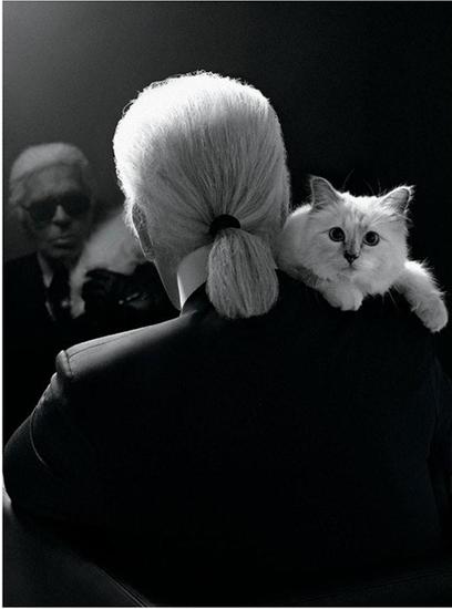 Choupette和主人老佛爷Karl Lagerfeld一起登上2012年9月《W》杂志内页