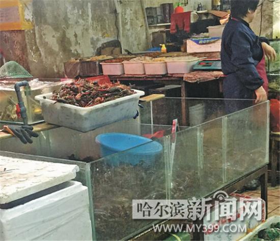 十八里店海鲜市场_海鲜市场_海南海鲜市场(3)