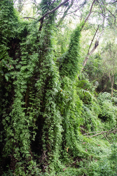 去惠州双月湾玩耍 就在深圳附近你知道吗