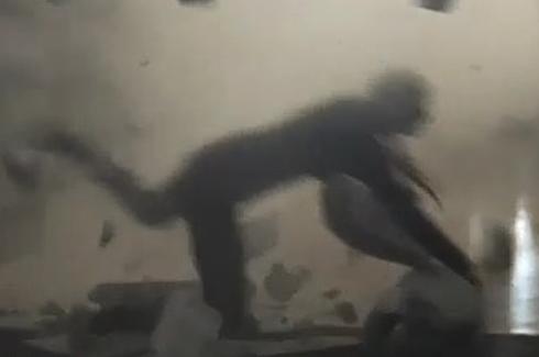 危险!霉霉mv现场爆炸