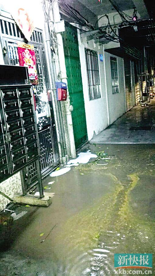 ■餐馆乱排油烟和污水,导致小区下水道堵塞倒灌,污水横流。