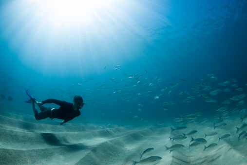 消耗热量排行_12项减肥运动热量消耗排行