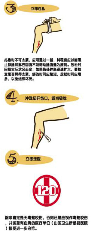 　　商报讯 蛇是变温动物，喜居荫蔽、潮湿、人迹罕至、杂草丛生、树木繁茂、有枮木树洞或乱石成堆、柴垛草堆和古埂土墙，且饵料(如老鼠、青蛙)丰富的环境。但近段时间，海南的蛇喜欢躲进洗衣机里休息、钻进车头乘凉、爬到小区游玩。蛇一般不会主动攻击人，如果我们没有发现它而太过靠近，或无意踩到它身体时，蛇才咬人。遇到蛇该怎么办？商报君为你支几招，化险为夷。 近期海口居民区频有蛇出没 近段时间，随着天气渐热，蛇也活跃起来，海口的一些居民区频频有蛇出没，把小区居民吓坏了，还好消防官兵接警后及时赶到，避免了居民被蛇攻击。 3月21日中午12时28分，海口市公安消防支队119指挥中心接到报警，海秀东路申鑫国际广场A栋2409号房阳台上的洗衣机里盘踞着一条蛇。接警后，海口消防指挥中心立即调派长堤中队指战员赶往现场处置。消防官兵到达现场侦察后，立即穿戴好安全防护装备，利用捕蛇器对蛇进行捕捉。 5月1日中午，海口市海府路与蓝天路交界处华莱士餐厅附近，因天气炎热，一条约1米长的眼镜蛇居然闯进了一辆一辆黄色小轿车的车头乘凉，把车主吓了一大跳。当日中午1时53分，海口消防支队国兴中队官兵接到报警后，立即赶到现场利用捕蛇器将眼镜蛇捕获，送至野外放生。 5月8日凌晨，一条1米多长的眼镜蛇突然光顾海口市五指山路榆海小区，小区居民惊呆了。当日凌晨1时41分，海口消防国兴中队官兵接警到达现场时，眼镜蛇正蜷缩在一处墙边，3名消防官兵做好安全防护后，利用扫把按住其头部，然后利用捕蛇器将蛇抓捕。被捕获的是一条灰色的眼镜蛇，约有1.5米长，有小孩子手臂粗，是一条成年眼镜蛇，极具攻击力。 遇见蛇最好平静且迅速离开 为确保安全，消防人员提醒市民，如果在小区内或者家里看到蛇，不要惊扰或攻击它，最好是平静而又迅速地离开现场。胆子大一点，看到蛇爬来爬去，可找被子或者衣服把蛇盖住，一旦周围的环境变黑，蛇就会不动，但不可擅自抓捕，应该立即报警，请专业人士前往抓捕。 如果与毒蛇不期而遇，要保持镇定安静，不要突然移动，不要向其发起攻击，因为蛇不会主动对人进攻，应远道绕行。若被蛇追逐，呈“之”字形路线跑开，切勿直跑。 如果蛇不主动向你进攻，千万不要惊扰它，尤其不要振动地面；如出现万一，在你与蛇对峙的时候，一定要沉住气，不要慌张，更不能掉头逃跑，你一逃，蛇会以为你要攻击它，它就会发动反攻，那样就大事不妙了，没有经过专业训练的人逃不过毒蛇的瞬间攻击。所以，一定要沉住气跟蛇对峙，一般情况下，蛇用不了一会就会转身逃跑，如果它实在不跑，你也不要害怕，只要你不动，毒蛇往往不会率先攻击你，因为，蛇的视力不好，只要你不动，它就找不到目标。 对峙一段时间后，你可以顺手把手中的东西，比如登山杖，树枝扔往蛇的后方，在蛇转身攻击登山杖的时候迅速撤离。尤其要警惕那种看上去貌似已死的蛇，因为它们可能为窥视猎物而装死。 如果迫不得已要杀死毒蛇，可取一根长棒，要具有良好的弹性，快速劈向其后脑(打蛇头下七寸)；在翻转圆木、石块或掘坑挖洞的劳作时应该使用木棒或其它工具，不可徒手进行。 被蛇咬别慌张及时简单自救 消防人员表示，在不能确定被哪种蛇咬伤的情况下，不能以为无明显症状就判断是无毒蛇。在多数情况下伤口可能模糊不清，在无法分清是有毒蛇还是无毒蛇咬伤的情况下，应按有毒蛇咬伤进行处理。无毒蛇咬伤常见四排细小的牙痕，毒蛇咬伤通常见一个或两个或三个比较大而深的牙痕，有的毒蛇有两排毒牙。 被蛇咬后，伤者千万不要慌张奔跑，先及时简单自救，迅速勒紧伤口上部10厘米处的血管，阻止静脉血的回流，防止毒液扩散，并拨打急救电话。如果身边有水，就边挤出伤口的血边以清水冲洗，或者是用嘴巴将血吸出来；想办法结扎伤口的近心端，如伤在足背，则在踝关节上端和膝关节下端结扎；如果伤在手背，则在腕关节上端和肘关节下端结扎。需要注意的是，捆扎伤口的时间不能过长，一般每扎1小时要松开绳子2-3分钟，以免肢体长时间缺血而坏死。最好能看清蛇的形状、斑纹等，记住蛇的特点，在医院治疗时医生可以根据你的描述，判断出蛇的种类，能准确用药，为治疗赢得时间。