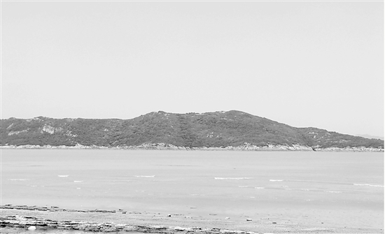 台州某中标企业因上千亩生态公益林 放弃8亿拍